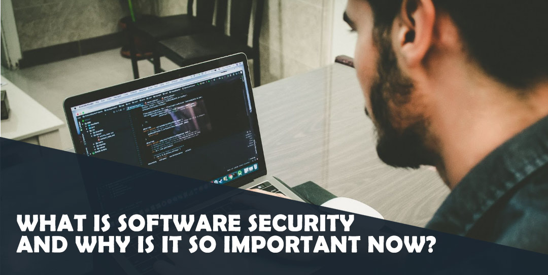 What is Software Security and Why is it so Important Now?